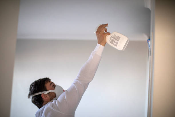Best Crawl Space Mold Removal  in Egan, LA