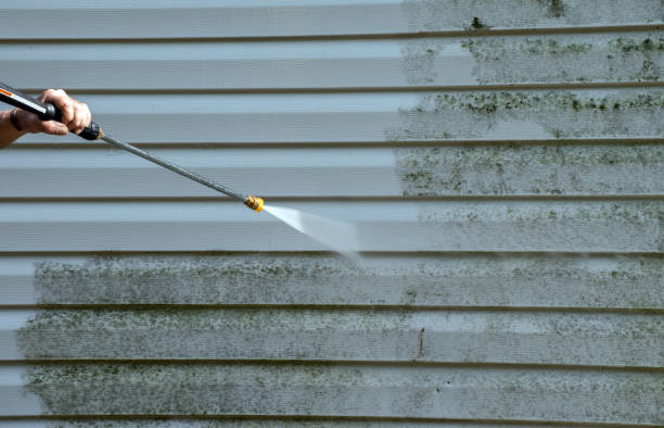Best Toxic Mold Removal  in Egan, LA