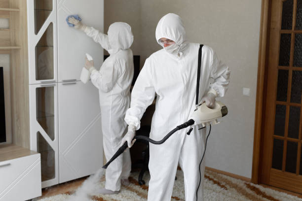Best Mold Cleaning Services  in Egan, LA