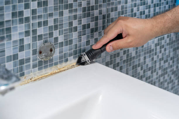 Best Commercial Mold Removal  in Egan, LA