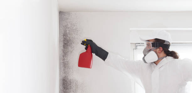 Best Mold Testing  in Egan, LA